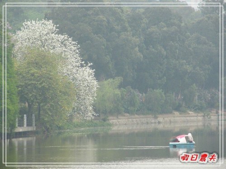 【廣州自由行】台灣腳走廣州-麓湖公園 @假日農夫愛趴趴照