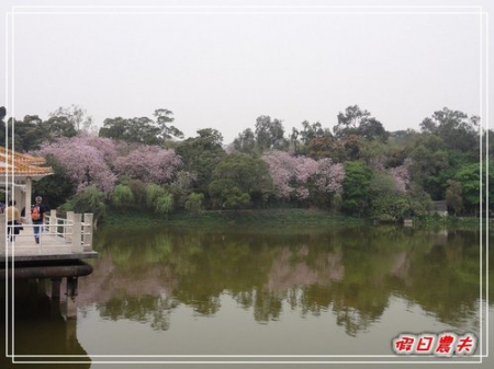 【廣州自由行】台灣腳走廣州-麓湖公園 @假日農夫愛趴趴照