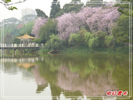 【廣州自由行】台灣腳走廣州-麓湖公園 @假日農夫愛趴趴照