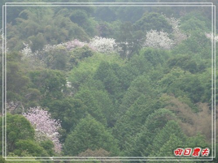 【廣州自由行】台灣腳走廣州-白雲山風景區 @假日農夫愛趴趴照