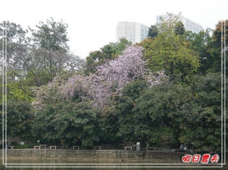 【廣州自由行】台灣腳走廣州-烈士陵園 @假日農夫愛趴趴照