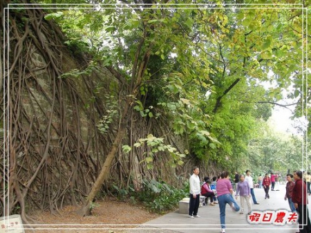 【廣州自由行】台灣腳走廣州-越秀公園 @假日農夫愛趴趴照