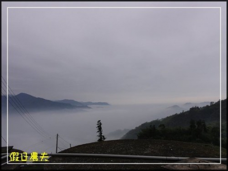 雲海、人海、傘海。迷霧中的阿里山櫻花 @假日農夫愛趴趴照