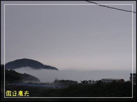 雲海、人海、傘海。迷霧中的阿里山櫻花 @假日農夫愛趴趴照