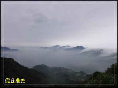 雲海、人海、傘海。迷霧中的阿里山櫻花 @假日農夫愛趴趴照