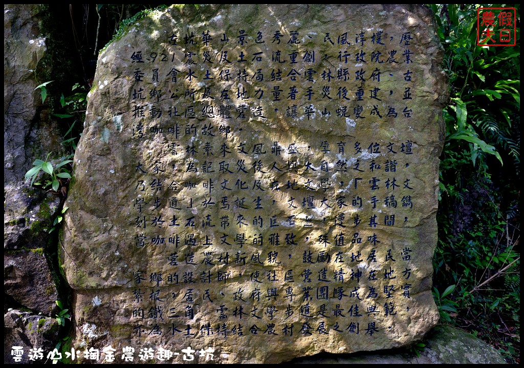 雲遊山水掏金農遊趣-古坑玩什麼．一日輕旅行/樟湖國小/華山休閒農業區發展協會/雲林文學步道/小天梯情人橋 @假日農夫愛趴趴照