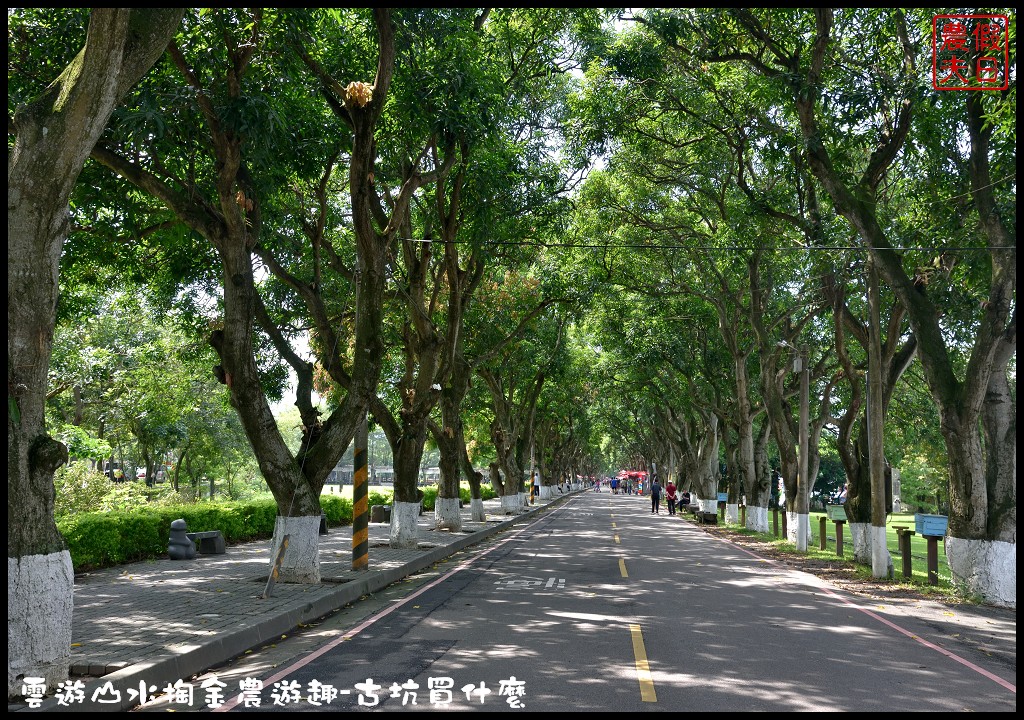 雲林伴手禮 | 雲遊山水掏金農遊趣-古坑買什麼．九號風車鳳梨金磚/上古華山香菇場香菇/華山派雞大俠材燒滴雞精/重點咖啡國宴級咖啡 @假日農夫愛趴趴照