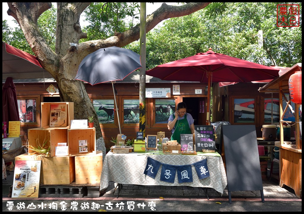 雲林伴手禮 | 雲遊山水掏金農遊趣-古坑買什麼．九號風車鳳梨金磚/上古華山香菇場香菇/華山派雞大俠材燒滴雞精/重點咖啡國宴級咖啡 @假日農夫愛趴趴照