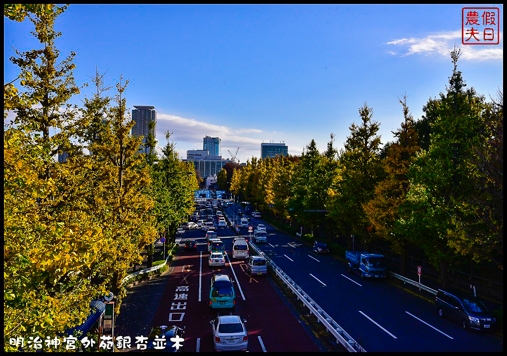 東京旅遊|明治神宮外苑銀杏並木．季節限定的黃金大道 @假日農夫愛趴趴照