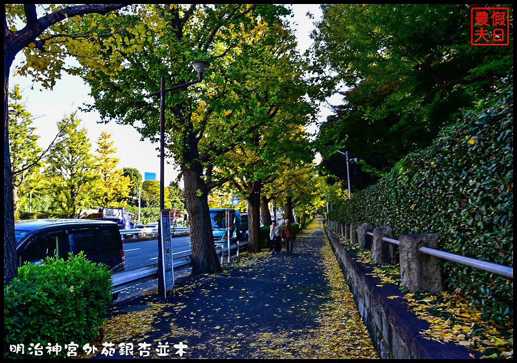 東京旅遊|明治神宮外苑銀杏並木．季節限定的黃金大道 @假日農夫愛趴趴照