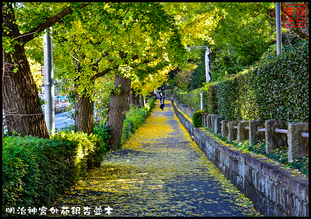 東京旅遊|明治神宮外苑銀杏並木．季節限定的黃金大道 @假日農夫愛趴趴照