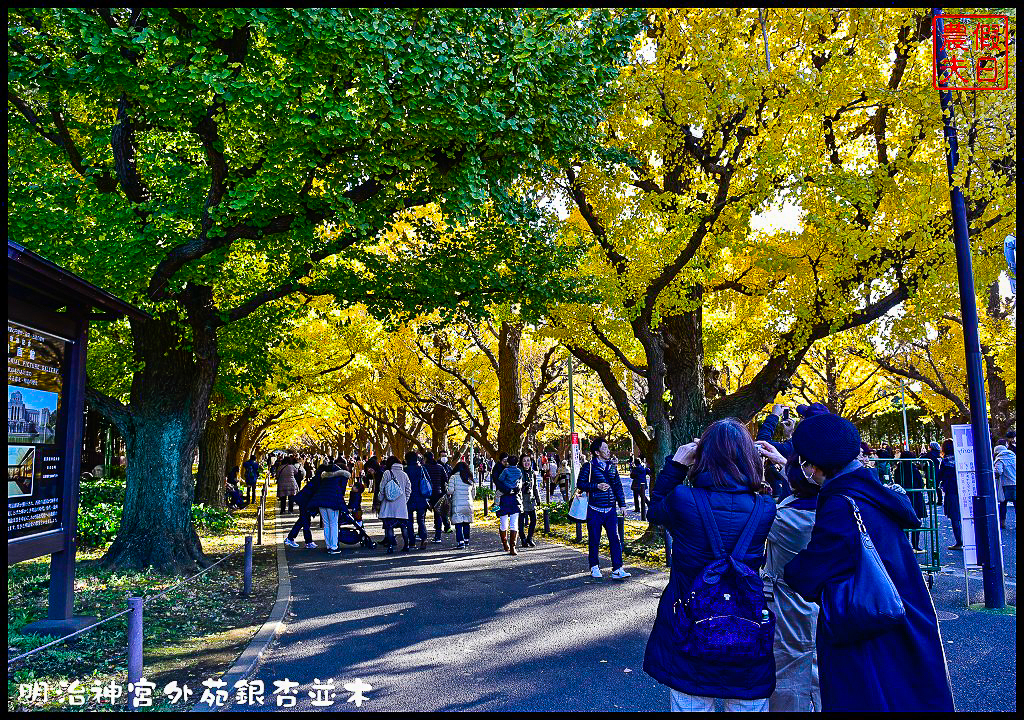 東京旅遊|明治神宮外苑銀杏並木．季節限定的黃金大道 @假日農夫愛趴趴照