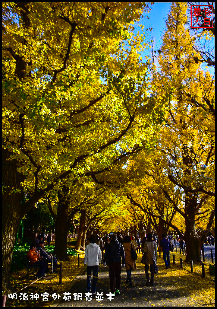 東京旅遊|明治神宮外苑銀杏並木．季節限定的黃金大道 @假日農夫愛趴趴照