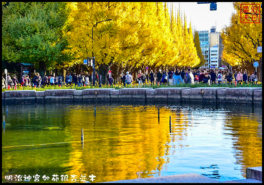 東京旅遊|明治神宮外苑銀杏並木．季節限定的黃金大道 @假日農夫愛趴趴照