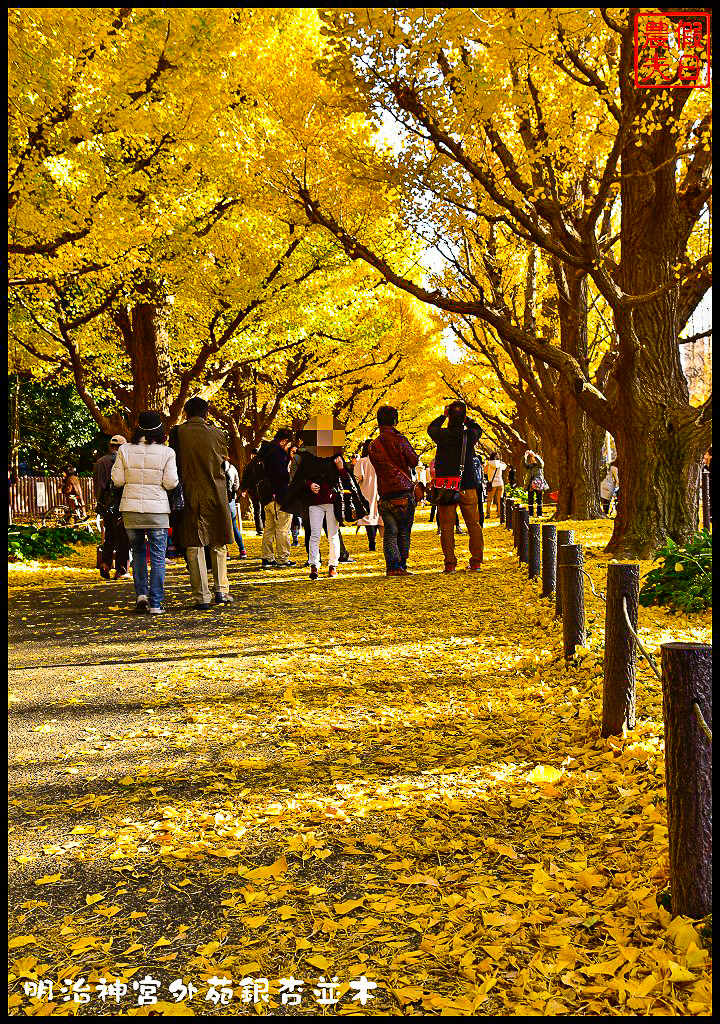 東京旅遊|明治神宮外苑銀杏並木．季節限定的黃金大道 @假日農夫愛趴趴照