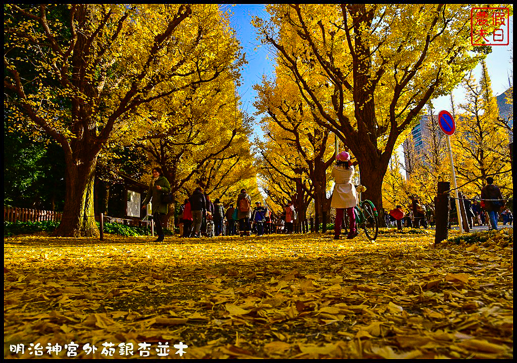 東京旅遊|明治神宮外苑銀杏並木．季節限定的黃金大道 @假日農夫愛趴趴照