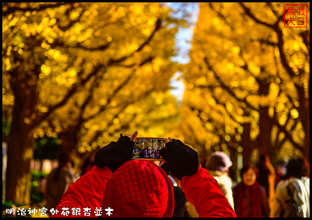 東京旅遊|明治神宮外苑銀杏並木．季節限定的黃金大道 @假日農夫愛趴趴照