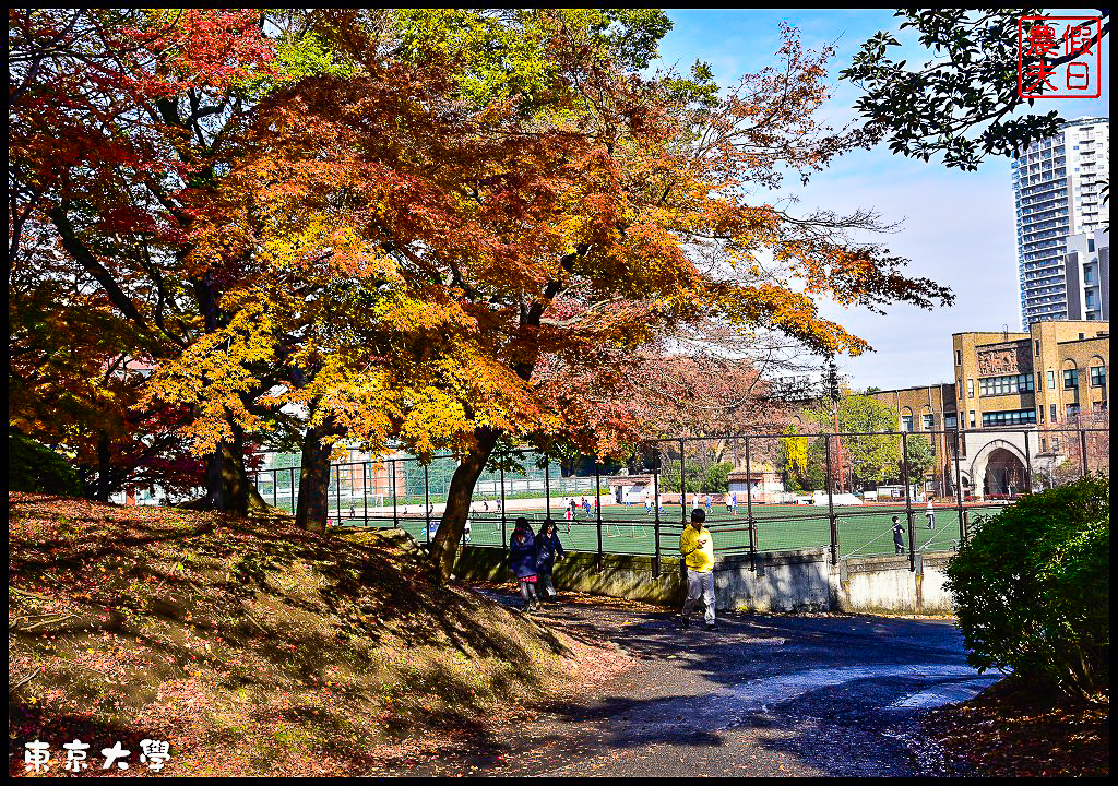 東京旅遊|東京大學本鄉校區+彌生校區銀杏大道．中央食堂便宜又好吃/日本自由行 @假日農夫愛趴趴照