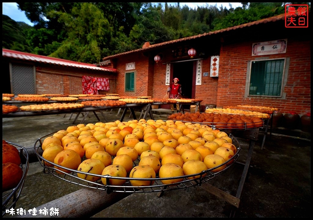 新竹免費人氣景點|味衛佳柿餅觀光農場．季節限定的熱門攝影景點/柿柿如意 @假日農夫愛趴趴照