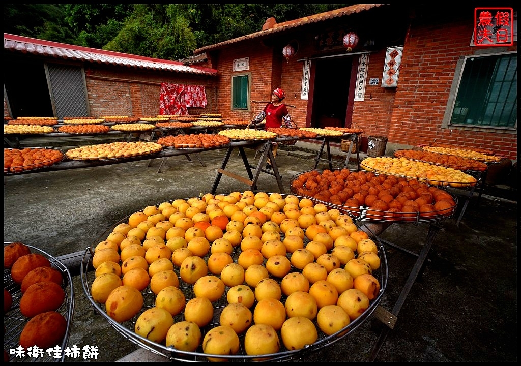 新竹免費人氣景點|味衛佳柿餅觀光農場．季節限定的熱門攝影景點/柿柿如意 @假日農夫愛趴趴照