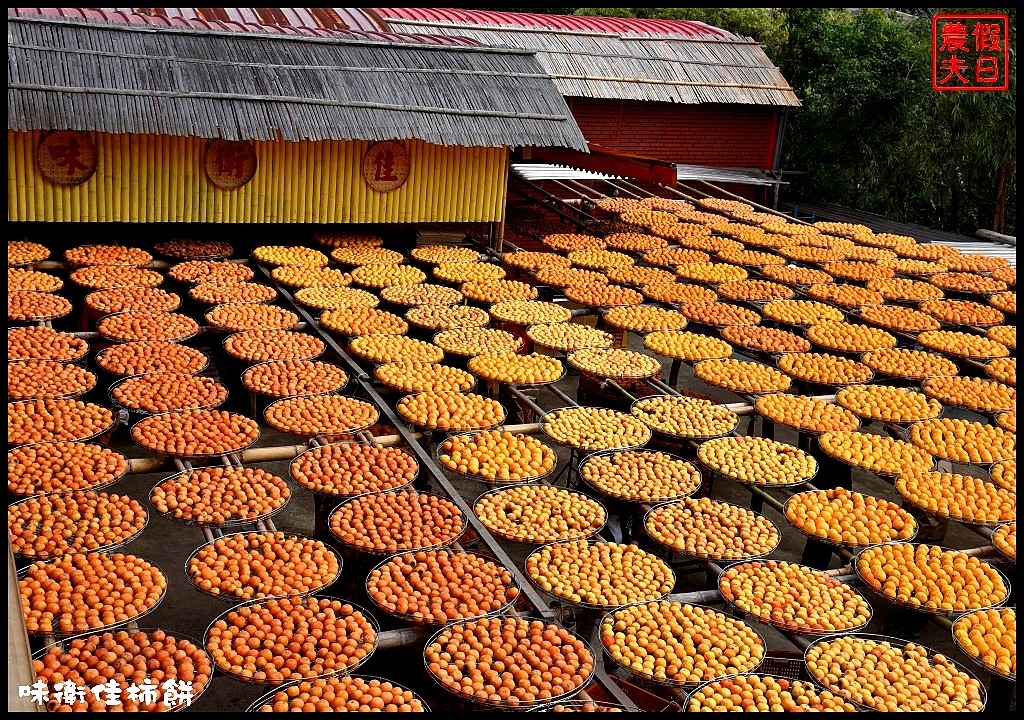 新竹免費人氣景點|味衛佳柿餅觀光農場．季節限定的熱門攝影景點/柿柿如意 @假日農夫愛趴趴照