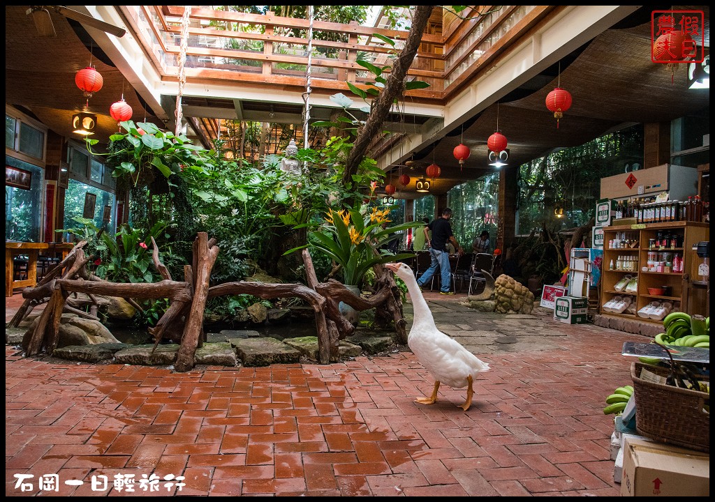 台中旅遊美食|石岡一日輕旅行(下)．羅望子生態教育休閒農場×湧椿茶花園×石山丘 @假日農夫愛趴趴照