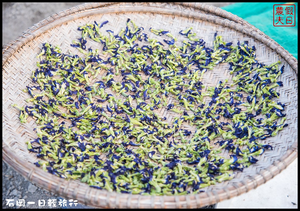 台中旅遊美食|石岡一日輕旅行(下)．羅望子生態教育休閒農場×湧椿茶花園×石山丘 @假日農夫愛趴趴照