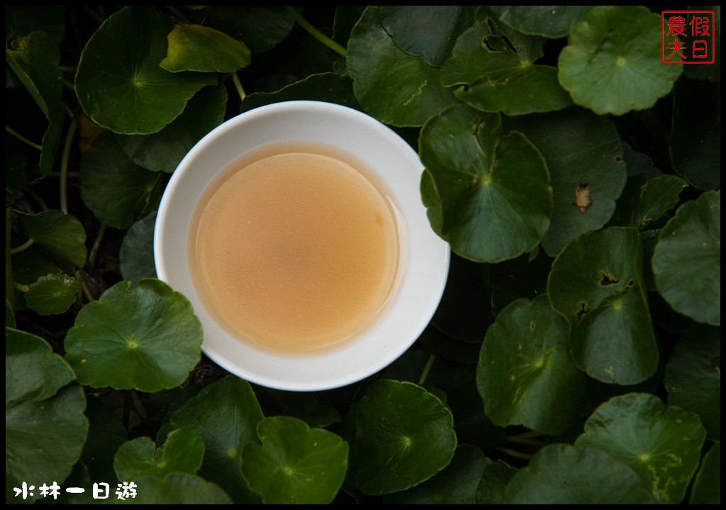 雲林旅遊美食|雲遊山水掏金農遊趣．水林一日輕旅行/鮮禾屋×水林疼某雞湯×冠弦吉他樂器社×蔦松客棧/一日遊 @假日農夫愛趴趴照