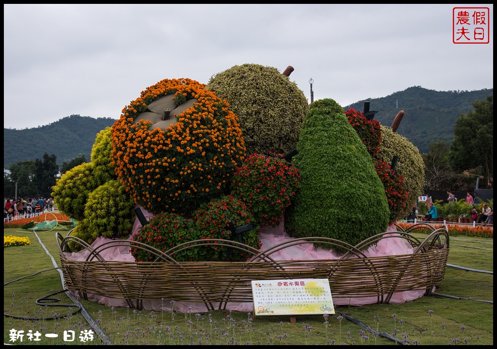 台中旅遊美食|新社花海一日遊．花現菇城采風旅/阿亮香菇園×菇菇部屋×抽藤坑農夫市集×新峰農場×馬力埔彩繪小徑 @假日農夫愛趴趴照