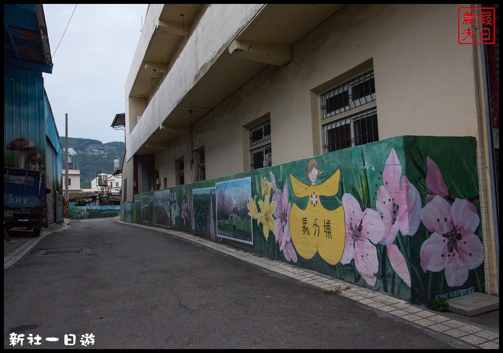 台中旅遊美食|新社花海一日遊．花現菇城采風旅/阿亮香菇園×菇菇部屋×抽藤坑農夫市集×新峰農場×馬力埔彩繪小徑 @假日農夫愛趴趴照