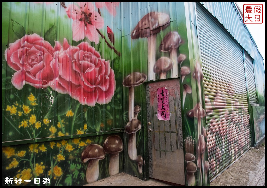 台中旅遊美食|新社花海一日遊．花現菇城采風旅/阿亮香菇園×菇菇部屋×抽藤坑農夫市集×新峰農場×馬力埔彩繪小徑 @假日農夫愛趴趴照