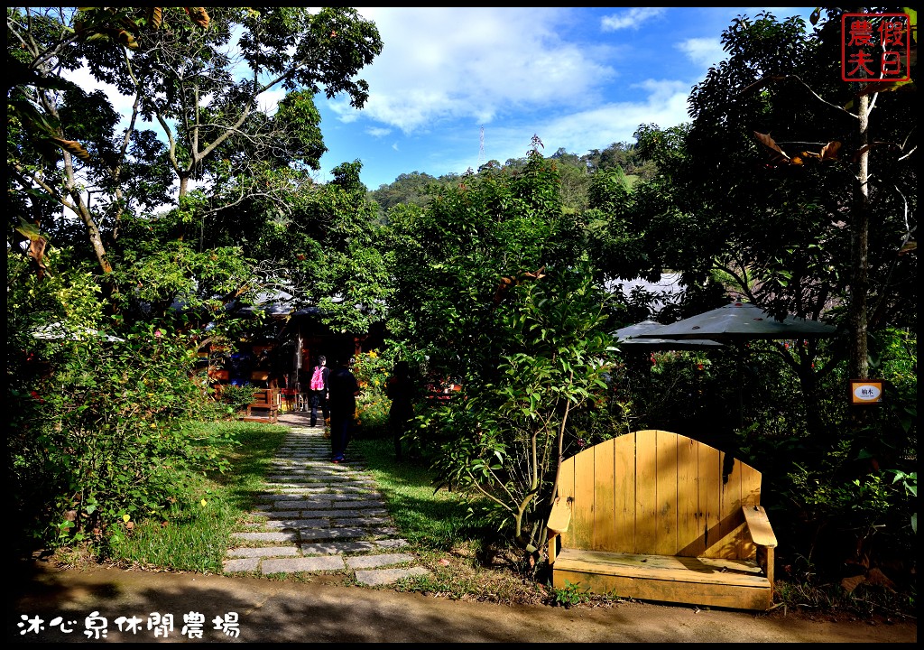 台中景點|沐心泉休閒農場．季節限定黃金楓與白雪木的浪漫大道 @假日農夫愛趴趴照