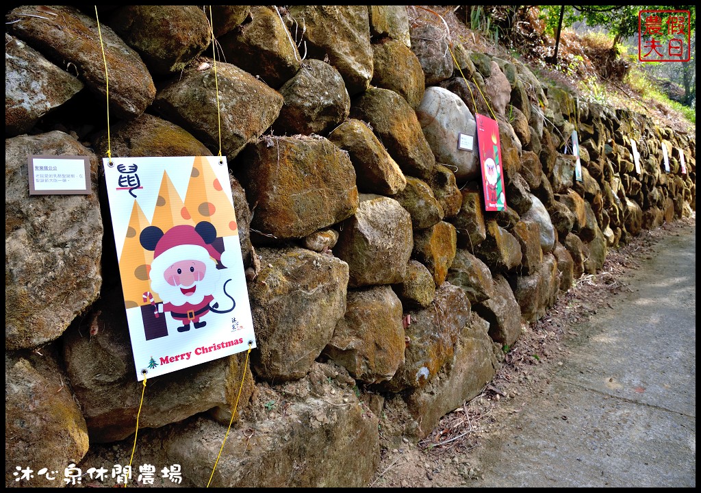 台中景點|沐心泉休閒農場．季節限定黃金楓與白雪木的浪漫大道 @假日農夫愛趴趴照