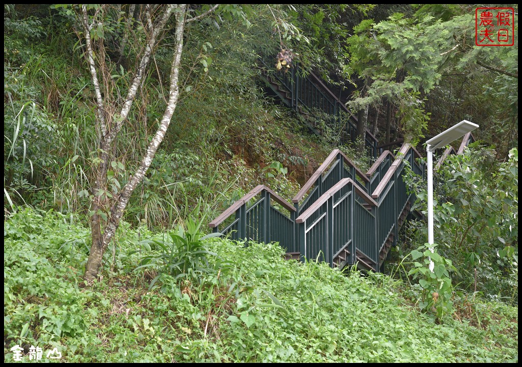 南投景點|魚池金龍山日出夜景低空雲海琉璃光/交通路線/金龍曙光 @假日農夫愛趴趴照