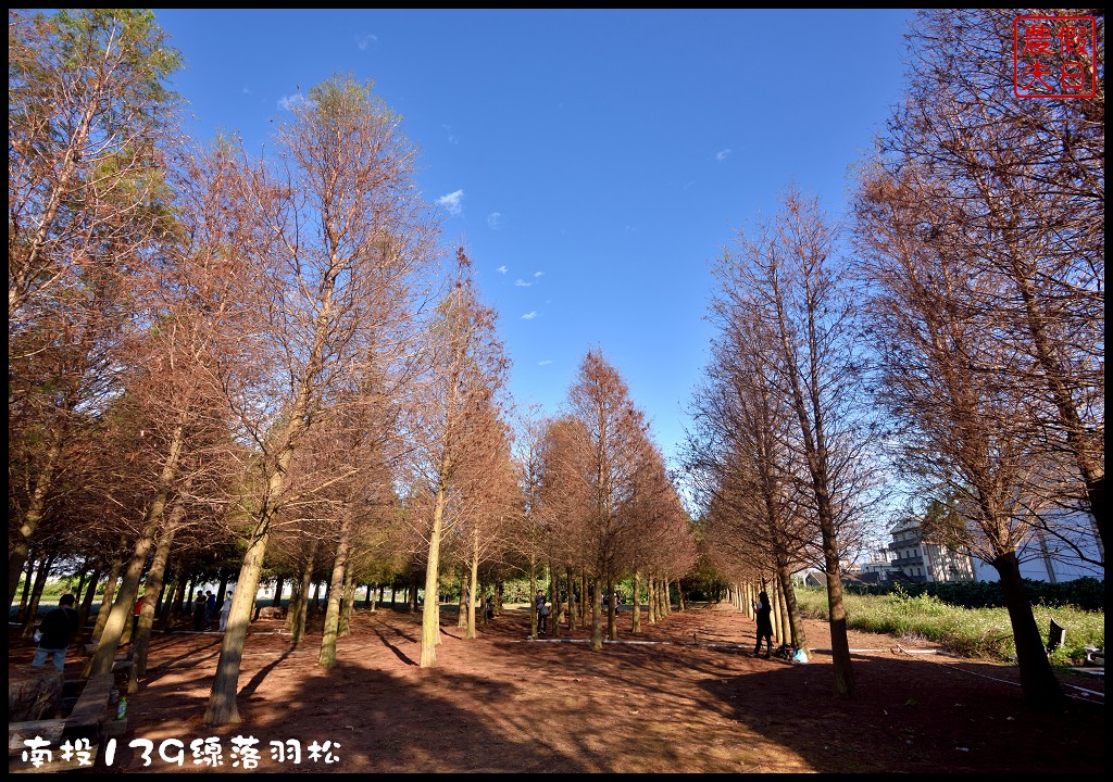 四季花曆賞花情報懶人包 | 梅花、櫻花、桐花、荷花、楓葉、落羽松/花季景點一覽表/跟著季節去賞花旅遊/賞花祕境/農夫愛賞花 @假日農夫愛趴趴照