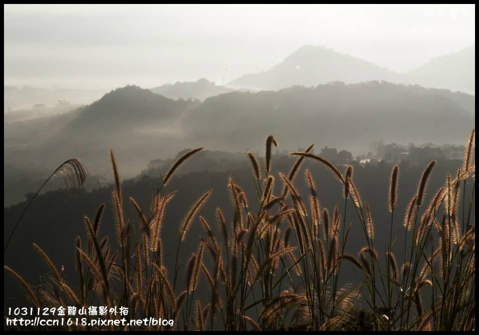 南投景點|魚池金龍山日出夜景低空雲海琉璃光/交通路線/金龍曙光 @假日農夫愛趴趴照