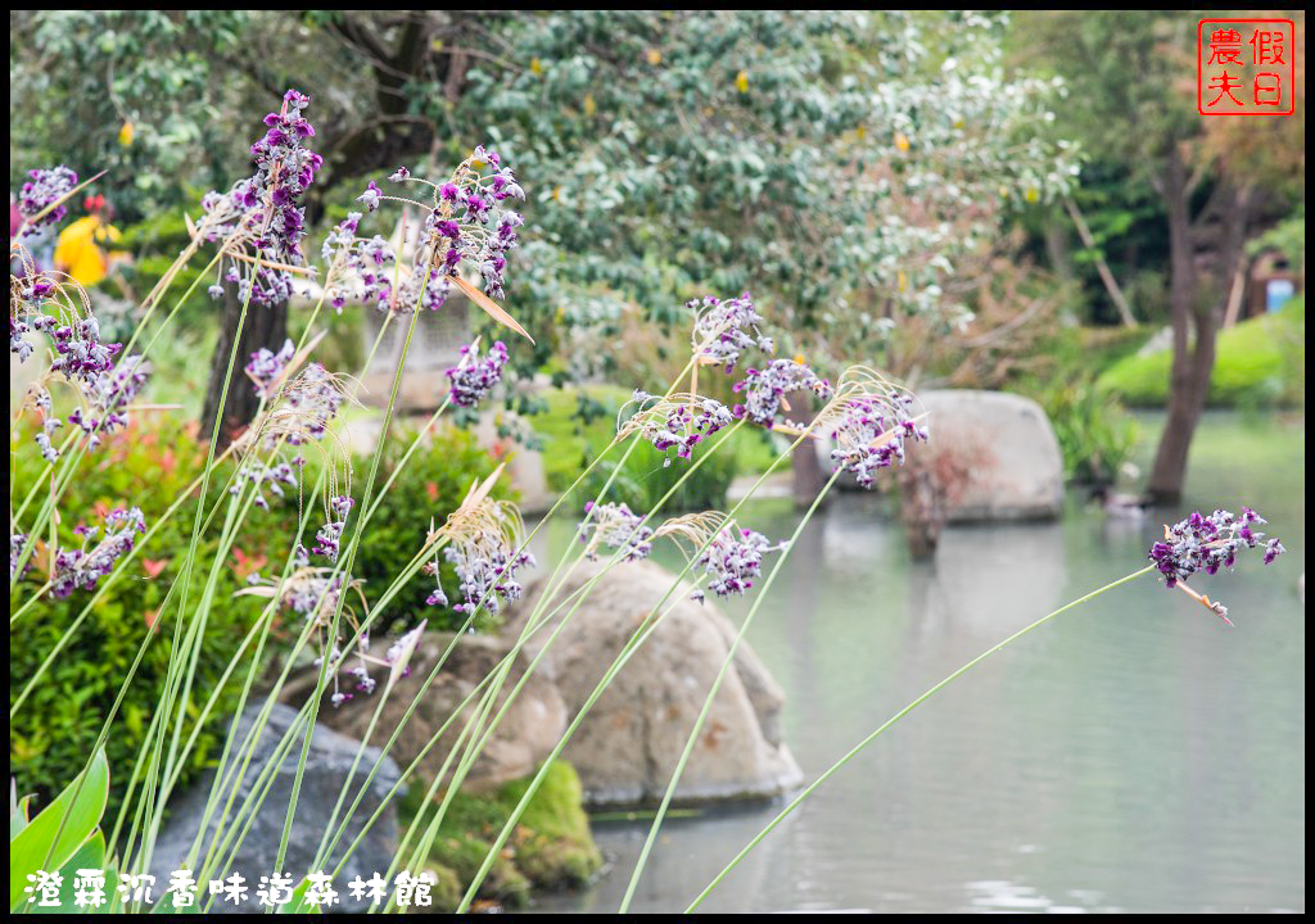 雲林免費景點|虎尾澄霖沉香味道森林館．台版兼六園日式禪風庭園 @假日農夫愛趴趴照