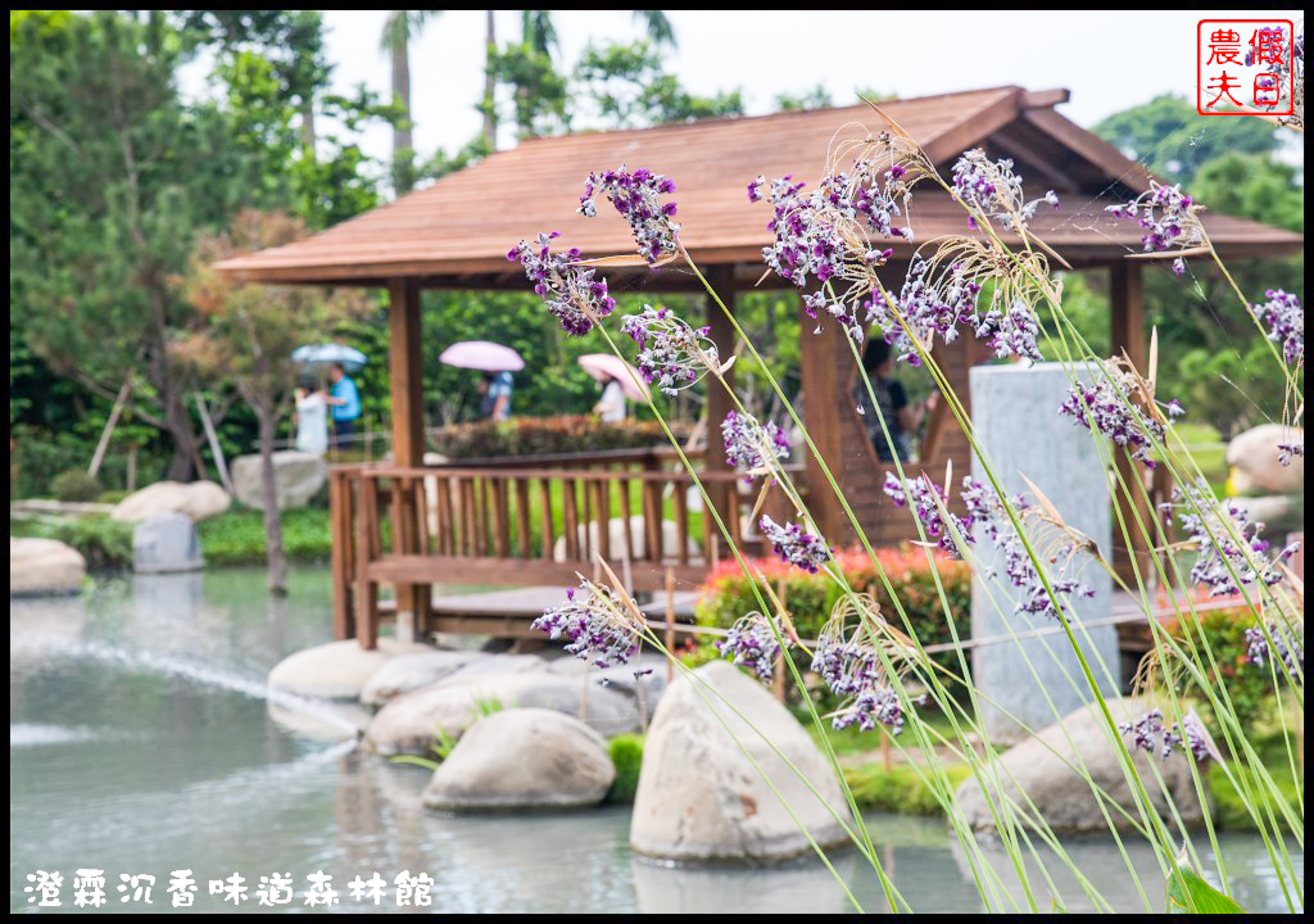 雲林免費景點|虎尾澄霖沉香味道森林館．台版兼六園日式禪風庭園 @假日農夫愛趴趴照