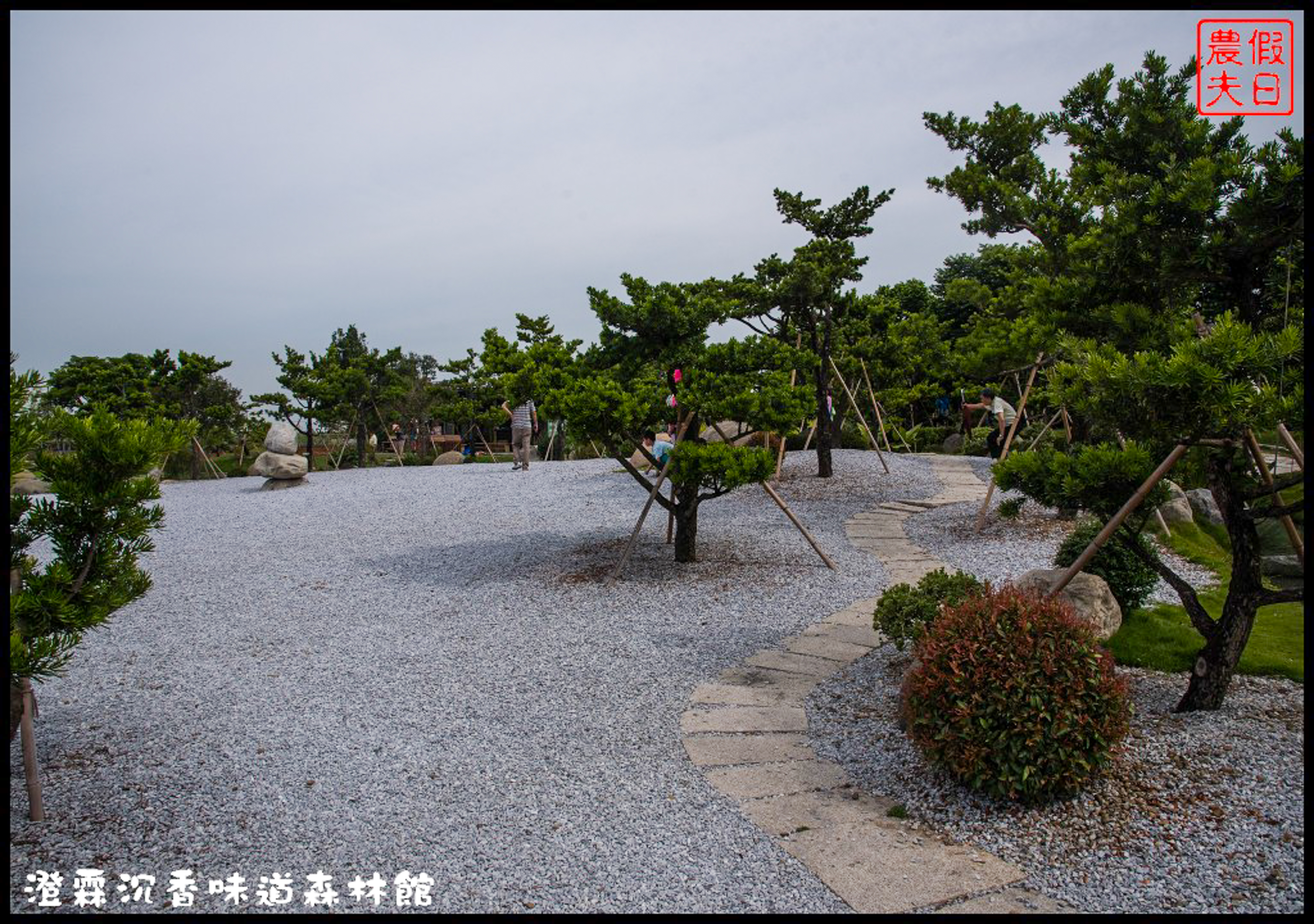 雲林免費景點|虎尾澄霖沉香味道森林館．台版兼六園日式禪風庭園 @假日農夫愛趴趴照