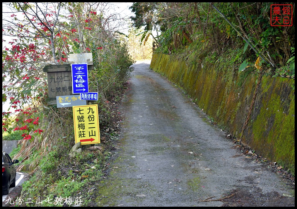 九份二山九尖茶園七號梅莊梅花盛開|還可以去吃客家湯圓和米苔目 @假日農夫愛趴趴照