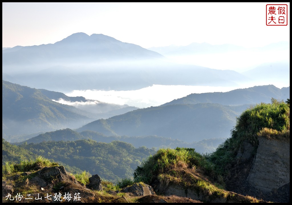 南投景點|國姓九份二山下雪了．七號梅莊梅花盛開像白雪覆蓋在山坡上/梅花秘境 @假日農夫愛趴趴照