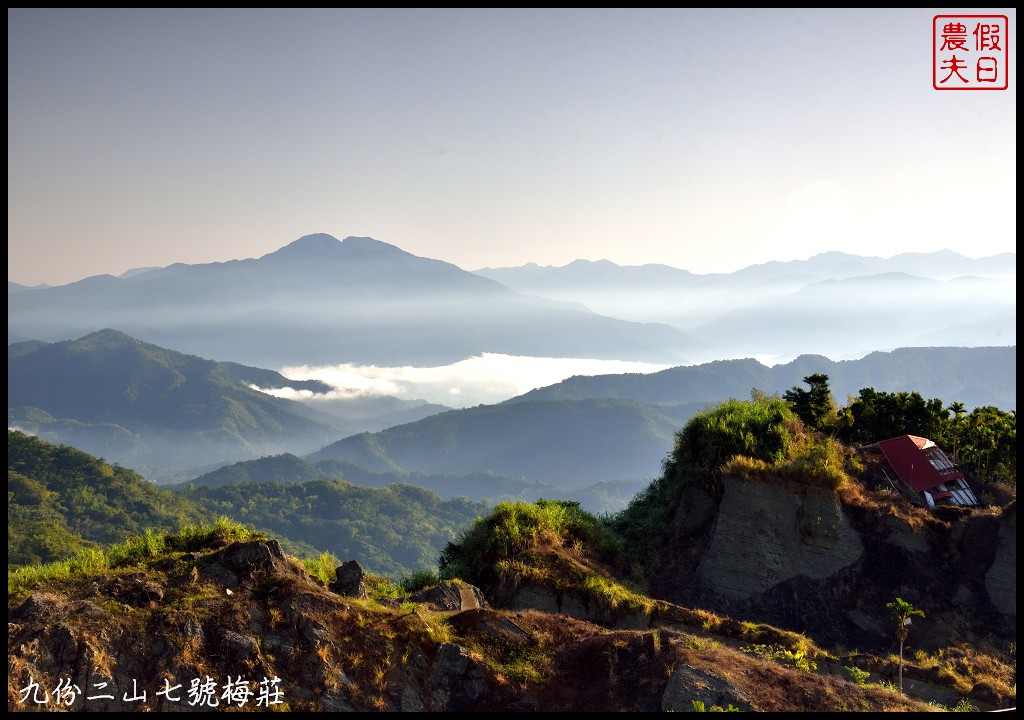 南投景點|國姓九份二山下雪了．七號梅莊梅花盛開像白雪覆蓋在山坡上/梅花秘境 @假日農夫愛趴趴照