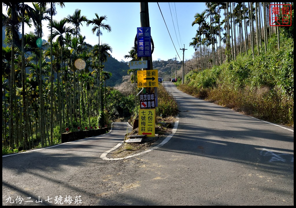 九份二山九尖茶園七號梅莊梅花盛開|還可以去吃客家湯圓和米苔目 @假日農夫愛趴趴照