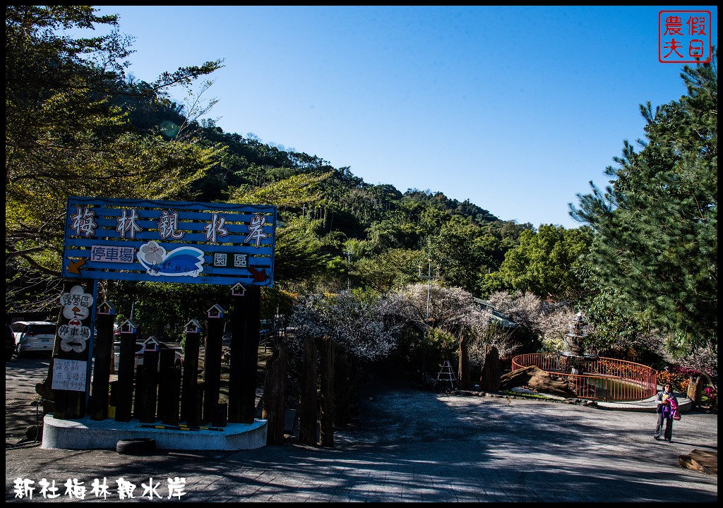 台中景點|新社梅林親水岸．免爬山開車就到輕鬆賞梅/賞梅秘境/一日遊/中部景點/台中半日遊 @假日農夫愛趴趴照