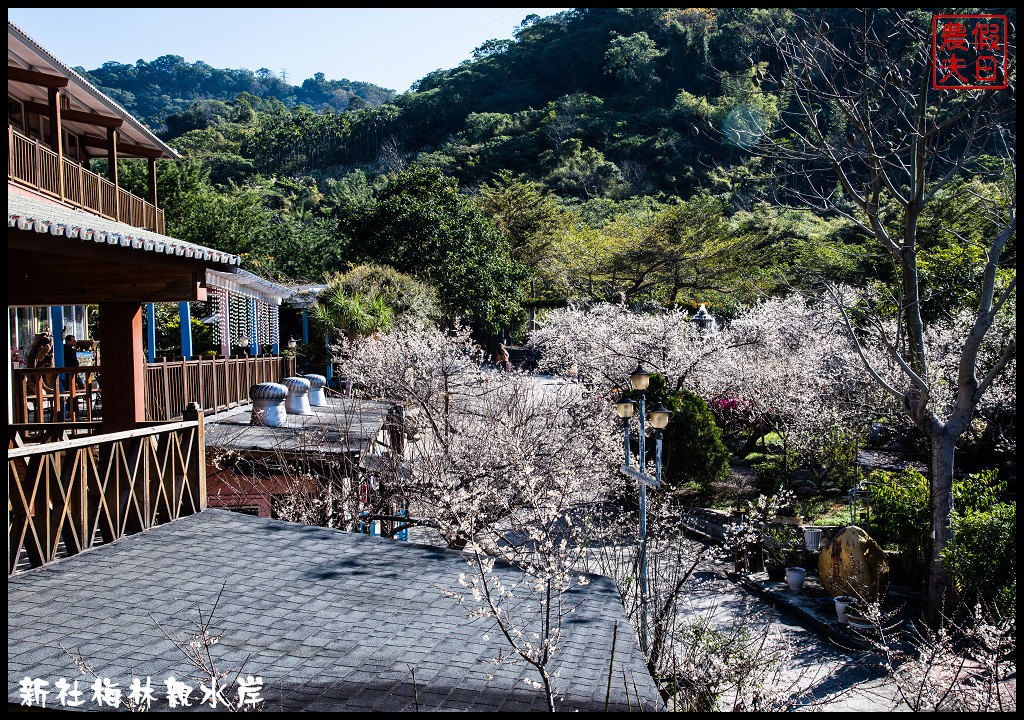 台中景點|新社梅林親水岸．免爬山開車就到輕鬆賞梅/賞梅秘境/一日遊/中部景點/台中半日遊 @假日農夫愛趴趴照