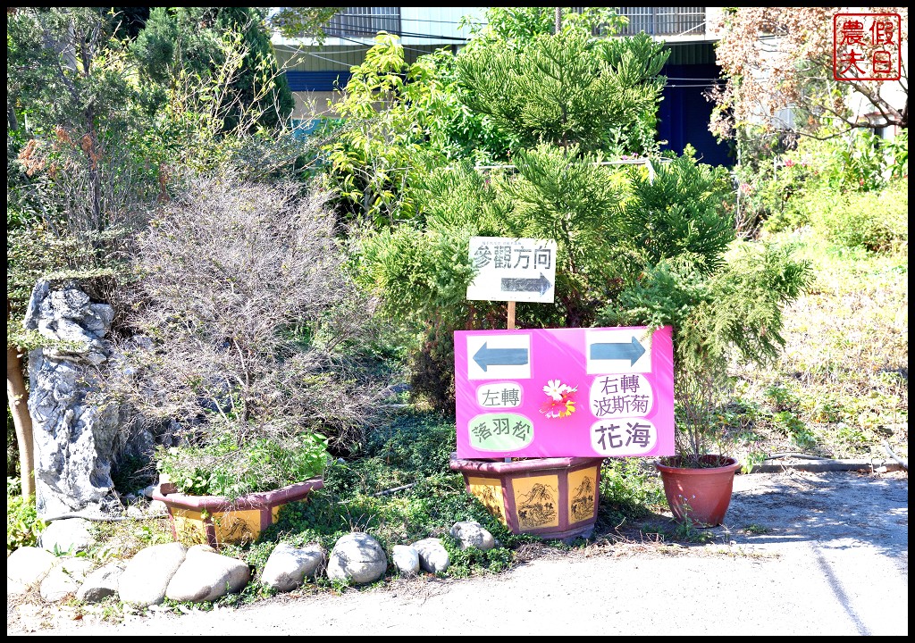 台中景點|2018喜迎花博廣納幸福花海季．一次可以拍到水陸兩種風情的落羽松/廣福花海/免費景點/中部景點/台中半日遊 @假日農夫愛趴趴照