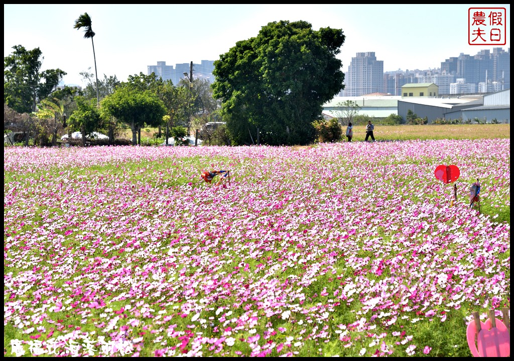 台中景點|2018喜迎花博廣納幸福花海季．一次可以拍到水陸兩種風情的落羽松/廣福花海/免費景點/中部景點/台中半日遊 @假日農夫愛趴趴照