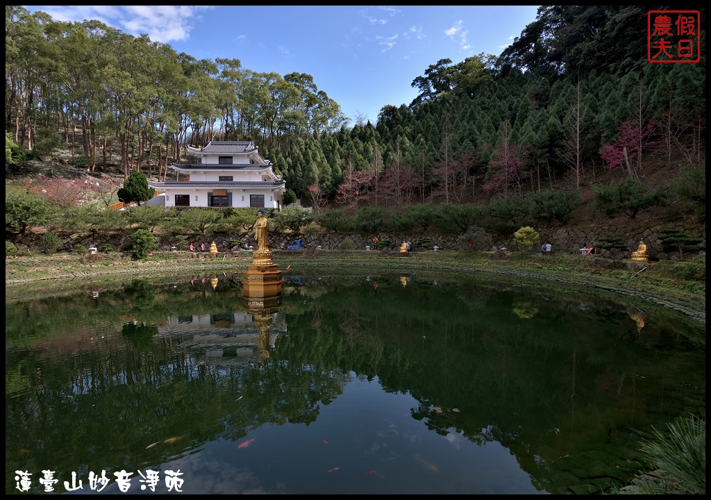 苗栗景點|獅潭蓮臺山妙音淨苑．百公尺長的櫻花步道盛開/昭和櫻/免費參觀/一日遊/中部景點/半日遊 @假日農夫愛趴趴照