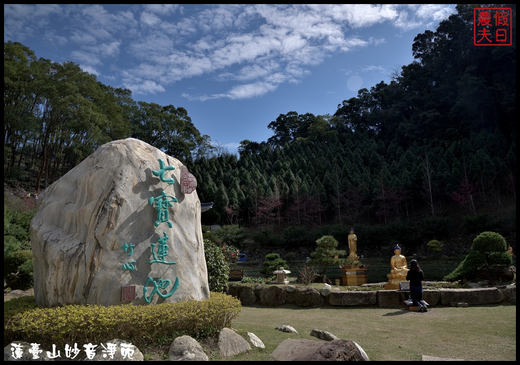 苗栗景點|獅潭蓮臺山妙音淨苑．百公尺長的櫻花步道盛開/昭和櫻/免費參觀/一日遊/中部景點/半日遊 @假日農夫愛趴趴照