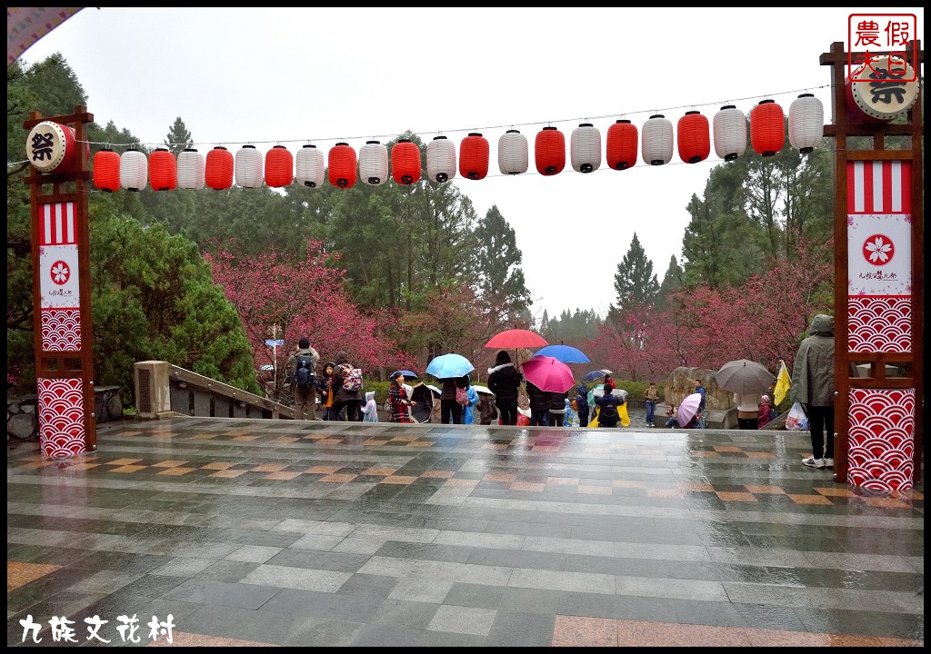 南投景點|九族文化村．搭水晶纜車賞櫻趣/九族櫻花祭/水晶透明車廂 @假日農夫愛趴趴照